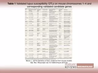 Morel, L. (2010) Genetics of SLE: evidence from mouse models