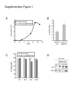 Supplementary Figure 1