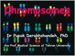 Chromosomes - slide 1