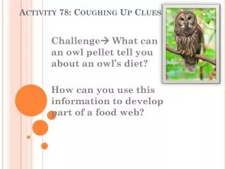 Activity 78: Coughing Up Clues