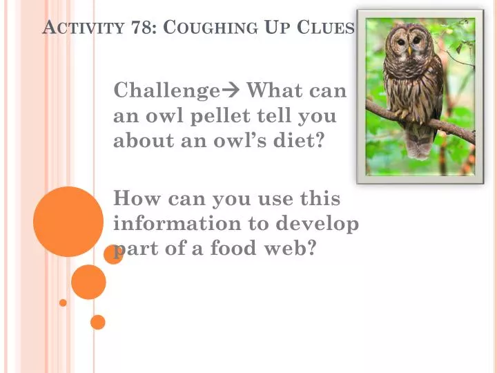 activity 78 coughing up clues