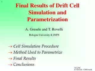 Final Results of Drift Cell Simulation and Parametrization