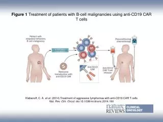 Figure 1 Treatment of patients with B?cell malignancies using anti-CD19 CAR T cells