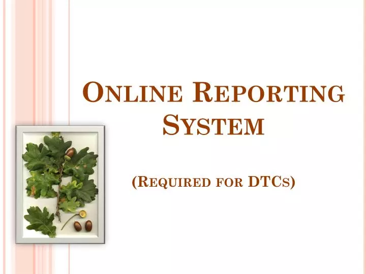 online reporting system required for dtcs