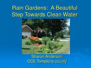 Rain Gardens: A Beautiful Step Towards Clean Water
