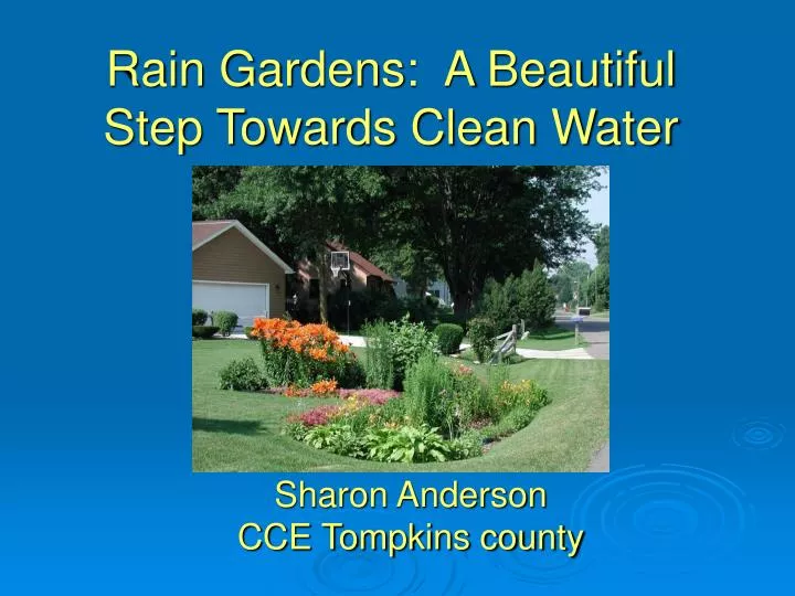rain gardens a beautiful step towards clean water