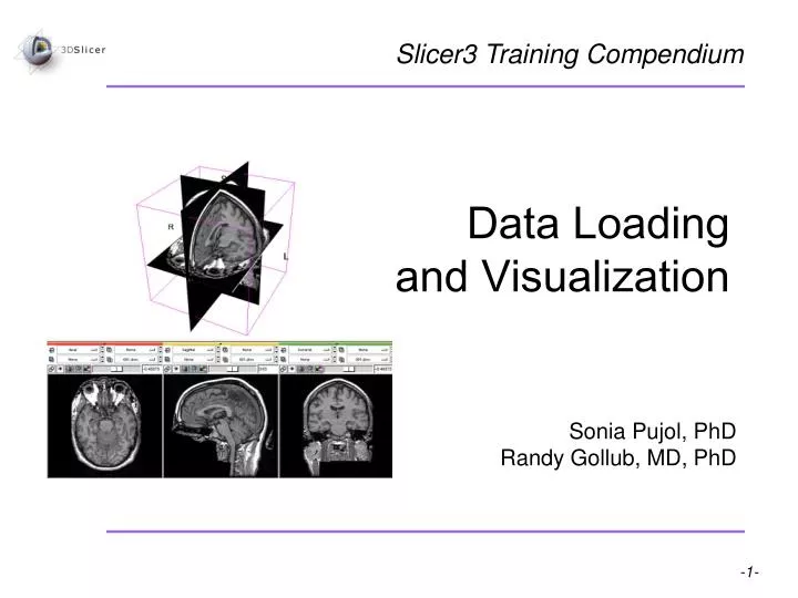 data loading and visualization