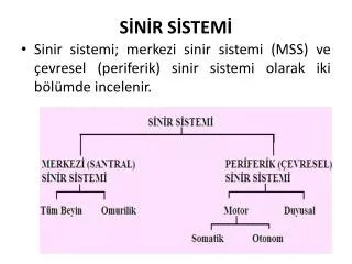 s n r s stem