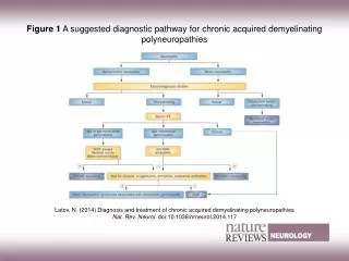 Figure 1 A suggested diagnostic pathway for chronic acquired demyelinating polyneuropathies