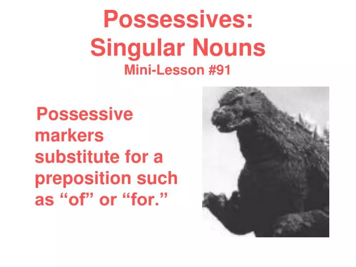 possessives singular nouns mini lesson 91