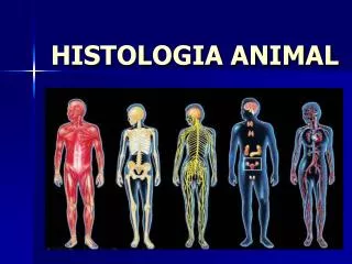 histologia animal