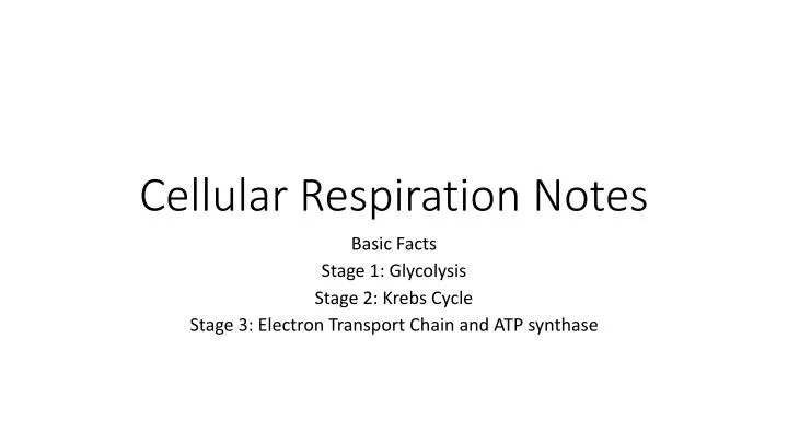 cellular respiration notes
