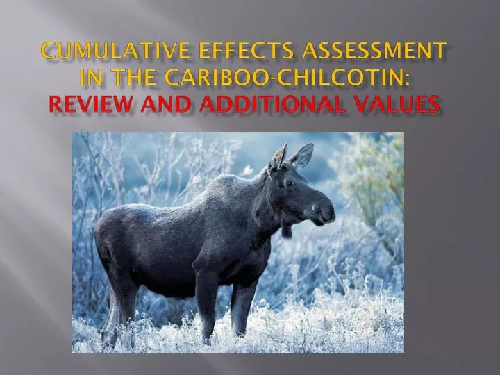 cumulative effects assessment in the cariboo chilcotin review and additional values