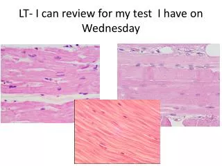 lt i can review for my test i have on wednesday