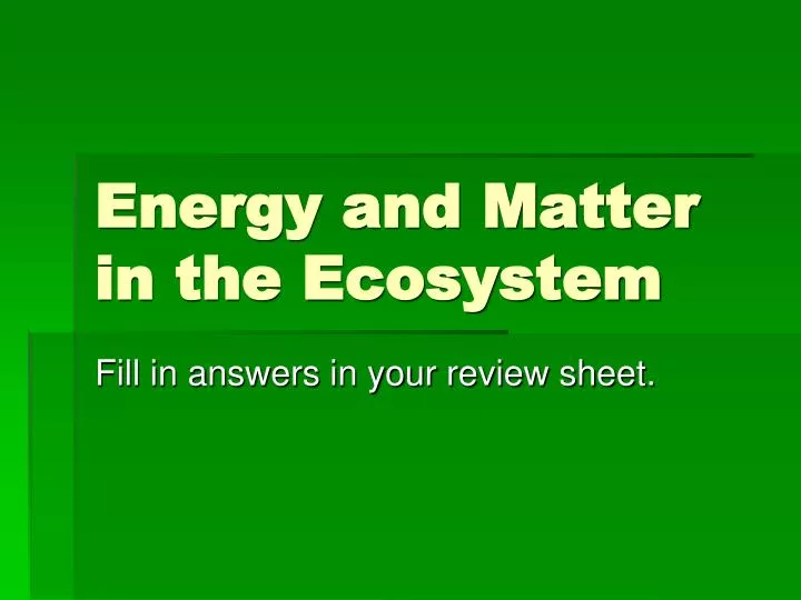 energy and matter in the ecosystem