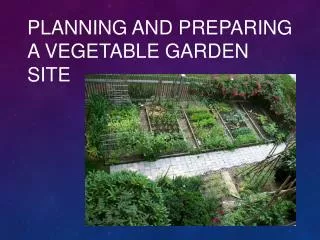 Planning and Preparing a Vegetable Garden Site