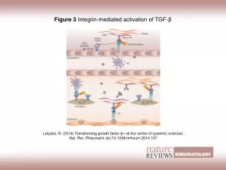 Figure 3 Integrin-mediated activation of TGF? ?