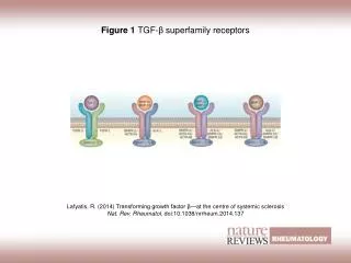 Figure 1 TGF? ? superfamily receptors