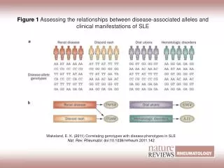 Wakeland, E. K. (2011) Correlating genotypes with disease phenotypes in SLE