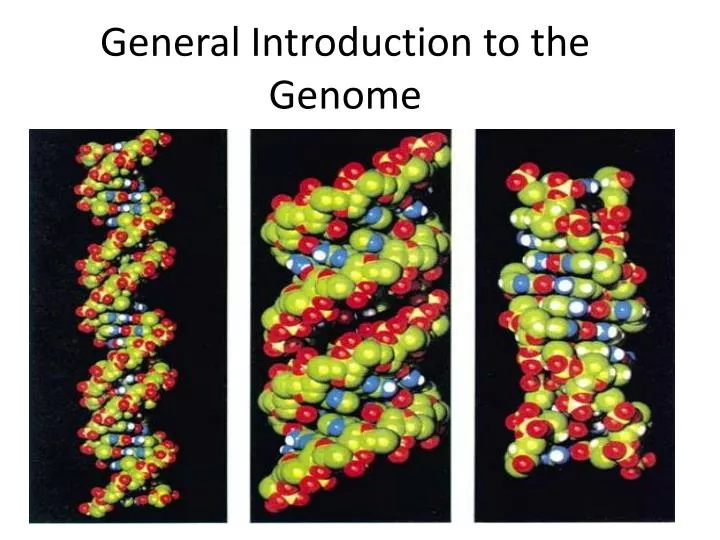 general introduction to the genome