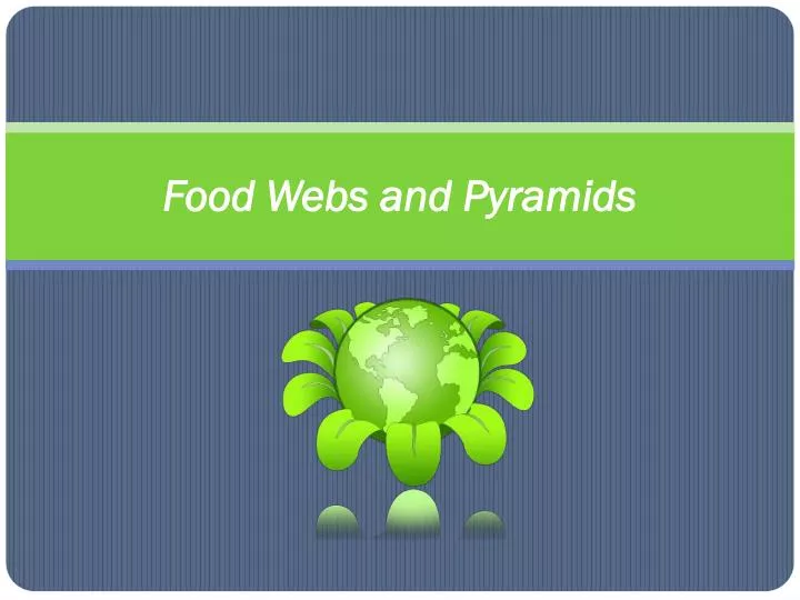 food webs and pyramids