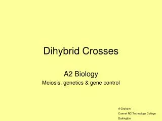 Dihybrid Crosses