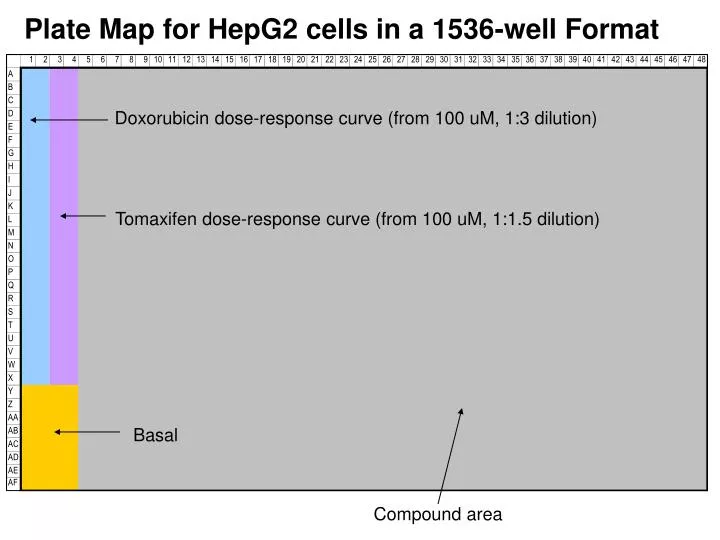 plate map for hepg2 cells in a 1536 well format