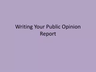 Writing Your Public Opinion Report