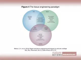 Figure 4 The tissue engineering paradigm