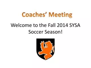 Welcome to the Fall 2014 SYSA Soccer Season!