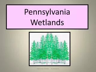 Pennsylvania Wetlands