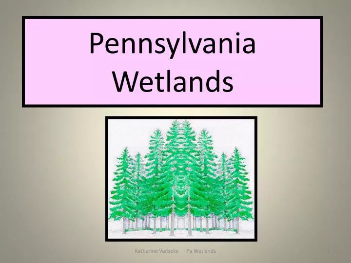 pennsylvania wetlands