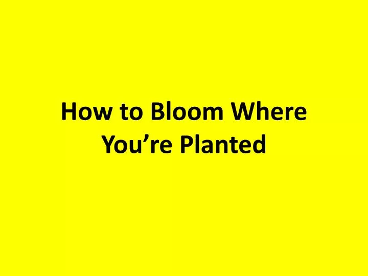 how to bloom where you re planted