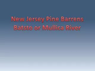 New Jersey Pine Barrens Batsto or Mullica River
