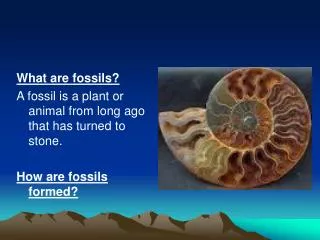 What are fossils? A fossil is a plant or animal from long ago that has turned to stone.