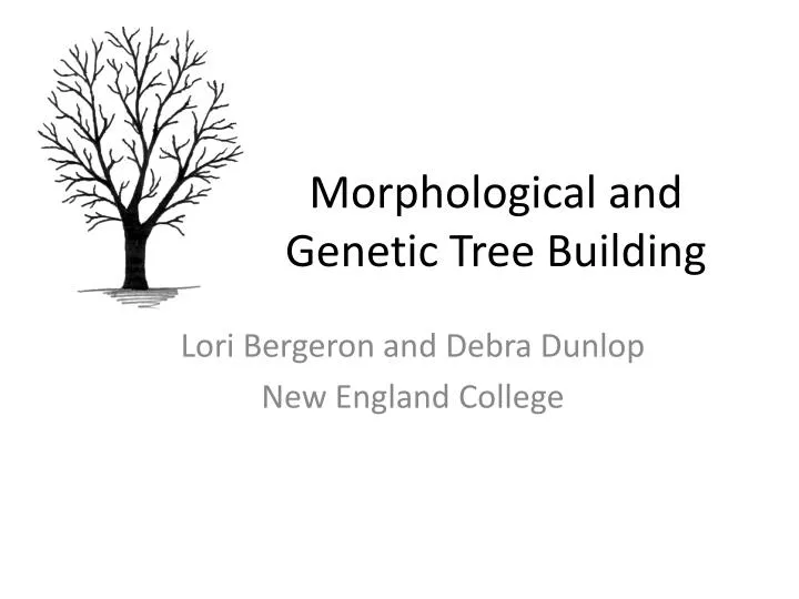 morphological and genetic tree building
