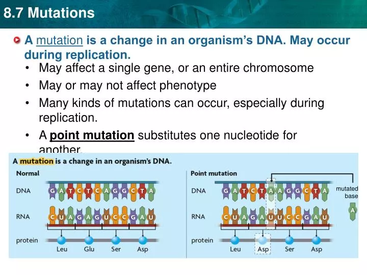 a mutation is a change in an organism s dna may occur during replication