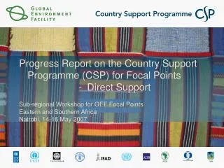 Progress Report on the Country Support Programme (CSP) for Focal Points Direct Support