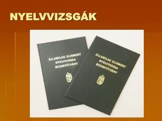 nyelvvizsg k