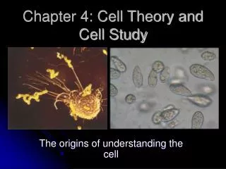 Chapter 4: Cell Theory and Cell Study