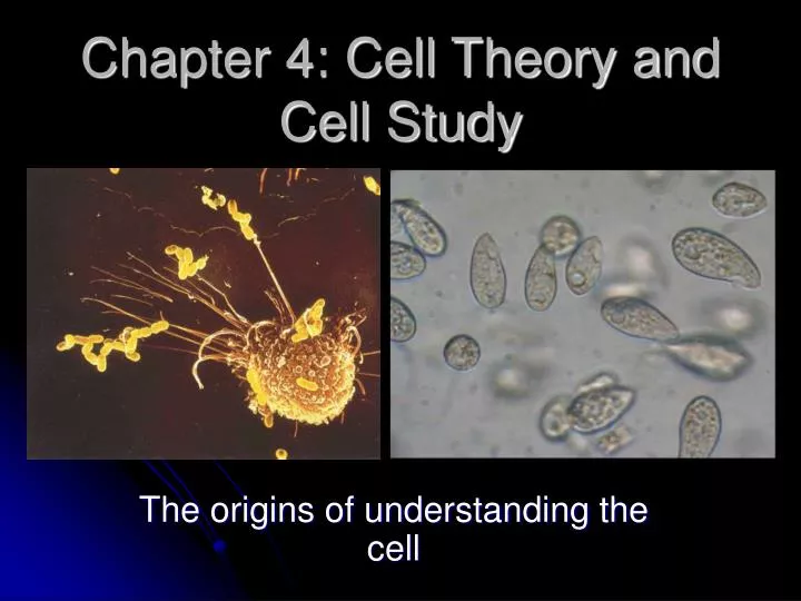 chapter 4 cell theory and cell study