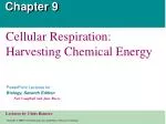 Chapter 9 - slide 1