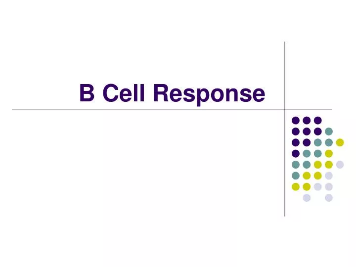 b cell response