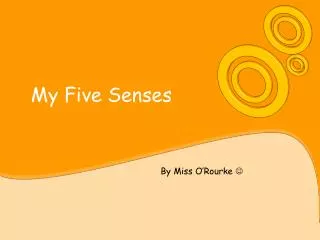 my five senses