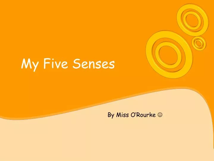 my five senses