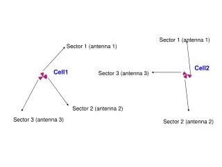 Sector 1 (antenna 1)