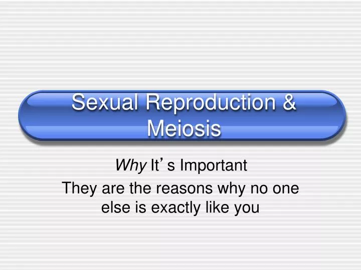 sexual reproduction meiosis