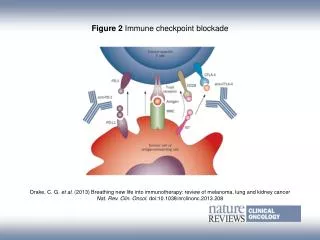 Figure 2 Immune checkpoint blockade