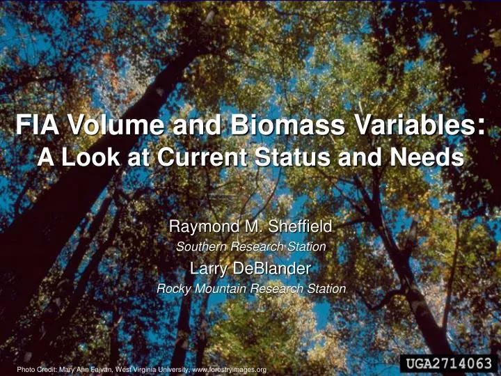 fia volume and biomass variables a look at current status and needs
