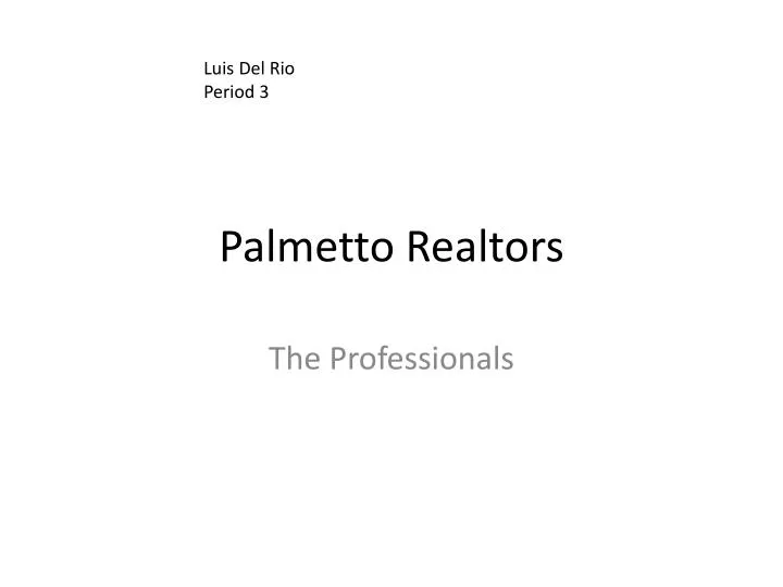 palmetto realtors